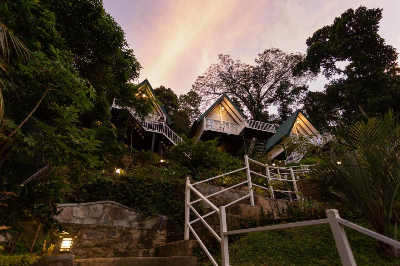 Orchid Villa Kandy Kültér fotó